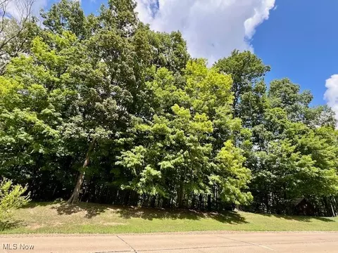 Reserve Drive, Medina, OH 44256