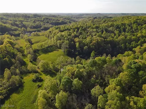 1429 Willow Run Rd, Belleville, WV 26133