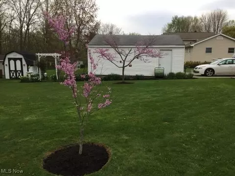 3947 Park Ave, Rootstown, OH 44272 photo 27