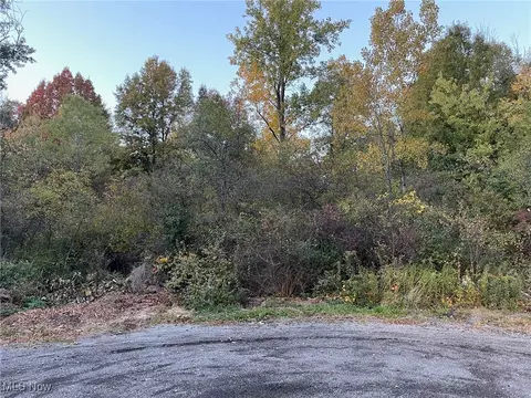Taylor Avenue, Girard, OH 44420