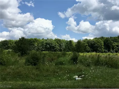 15665 Harmony Fls, Russell, OH 44072