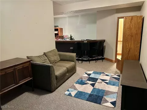 Other - 412 Forest St, Lagrange, OH 44050 photo 9 of 12