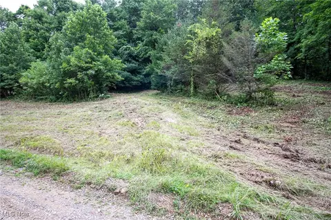 lot1 Meadowood Trl, Cadiz, OH 43907