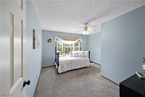 295 S Pine Ct, Aurora, OH 44202 photo 23