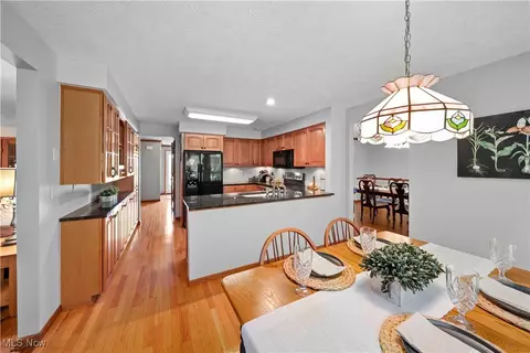 295 S Pine Ct, Aurora, OH 44202 photo 7