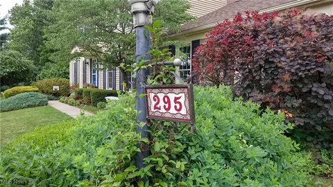295 S Pine Ct, Aurora, OH 44202 photo 47