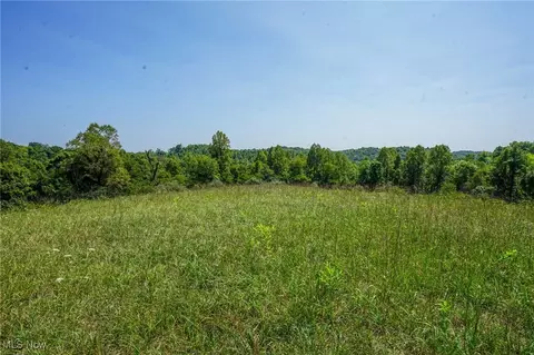 Van Fossen Ln, Chesterhill, OH 43728
