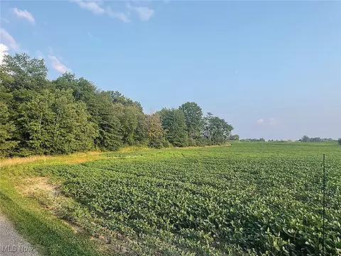 Durst Drive, Warren, OH 44483 photo 8