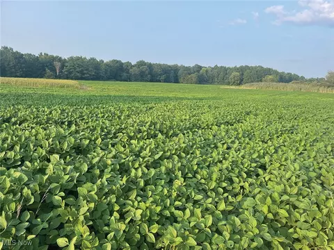 Durst Drive, Warren, OH 44483 photo 6