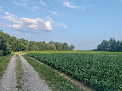 Durst Drive, Warren, OH 44483 photo 7