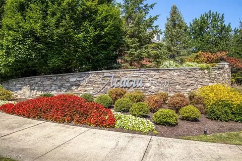 View/Area - 200 Eagle Point Dr, Lyndhurst, OH 44124 photo 4 of 5