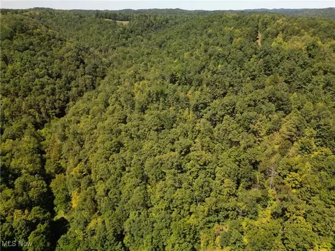 2926 White Pine Rd, Grantsville, WV 26147