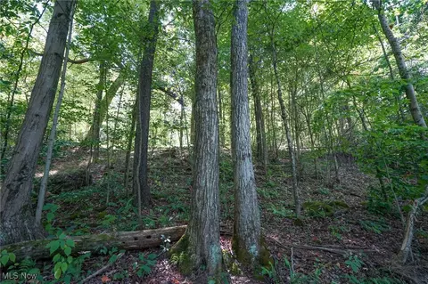 Johnson Run Rd, Kimbolton, OH 43749