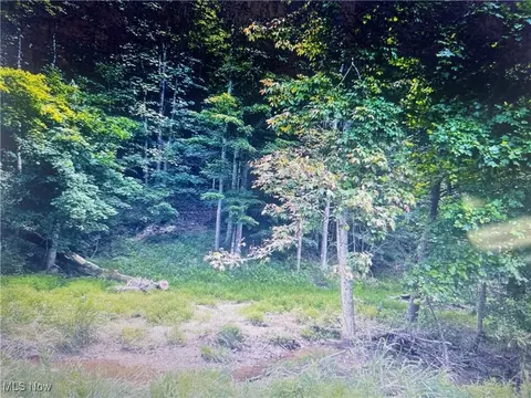 00 Route #50, Walker, WV 26101