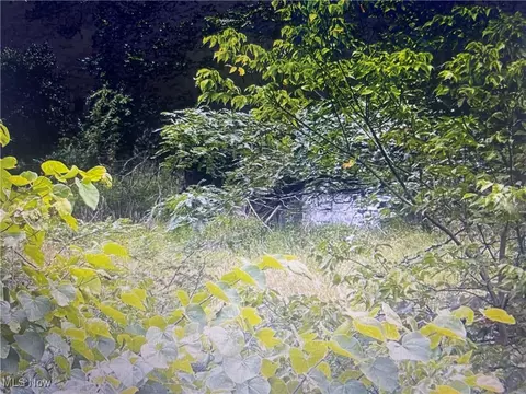 00 Route #50, Walker, WV 26101 photo 6