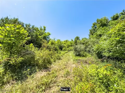 Tract 1 Whiskey Run Road, Quaker City, OH 43773