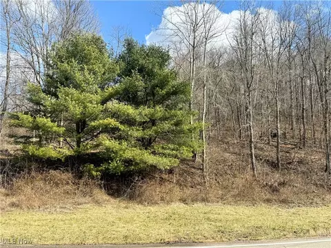 Holloway Rd/state Rt 331, Flushing, OH 43977 photo 6