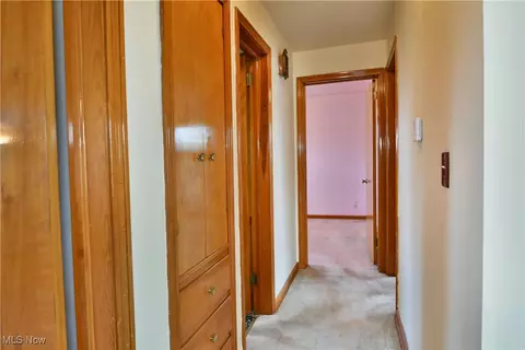 345 W Omar St, Struthers, OH 44471 photo 23