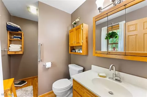 220 Pendleton St, Lisbon, OH 44432 photo 19