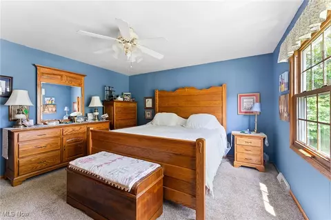 220 Pendleton St, Lisbon, OH 44432 photo 18