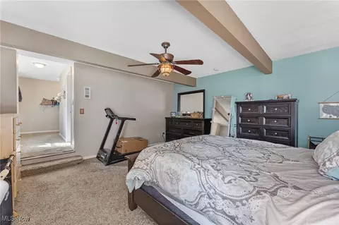 4359 Middle Ridge Rd, Perry, OH 44081 photo 31