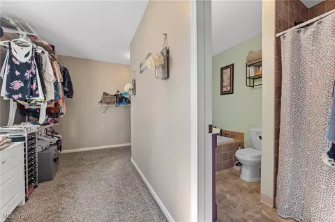 4359 Middle Ridge Rd, Perry, OH 44081 photo 26