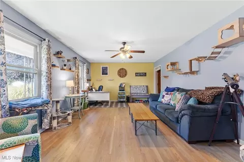4359 Middle Ridge Rd, Perry, OH 44081 photo 3
