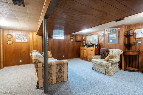 504 Brandon Ave, Struthers, OH 44471 photo 27
