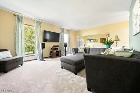 Living - 201 Us Grant St, Lagrange, OH 44050 photo 3 of 4