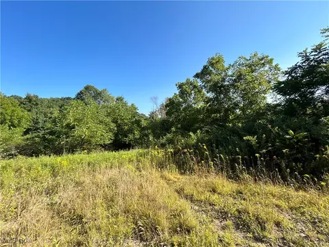 Whiskey Run Road, Quaker City, OH 43773