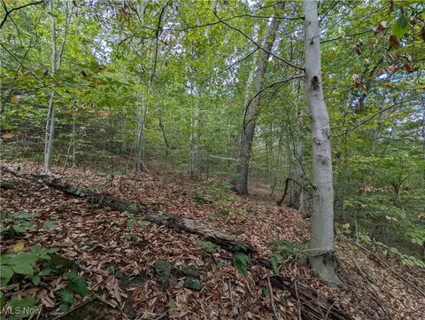 Township Road 289, Hammondsville, OH 43930