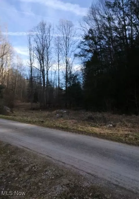1004 Camp Scott Rd, Sutton, WV 26601 photo 11