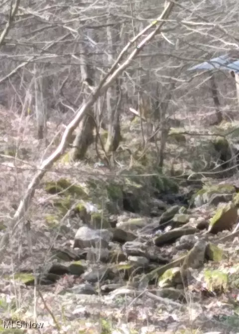 1004 Camp Scott Rd, Sutton, WV 26601 photo 13