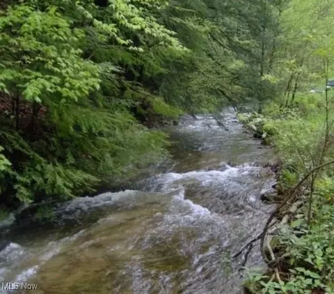 1004 Camp Scott Rd, Sutton, WV 26601