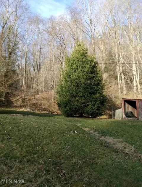 1004 Camp Scott Rd, Sutton, WV 26601 photo 5