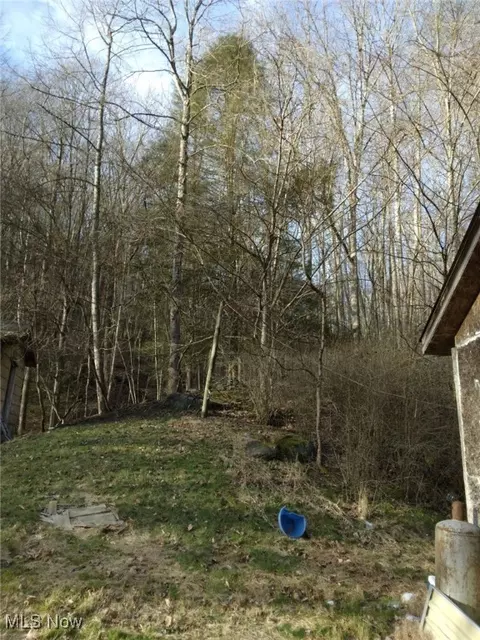 1004 Camp Scott Rd, Sutton, WV 26601 photo 3