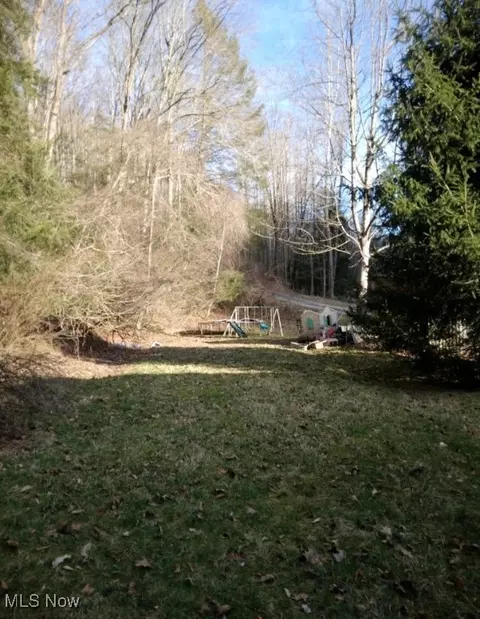 1004 Camp Scott Rd, Sutton, WV 26601 photo 6
