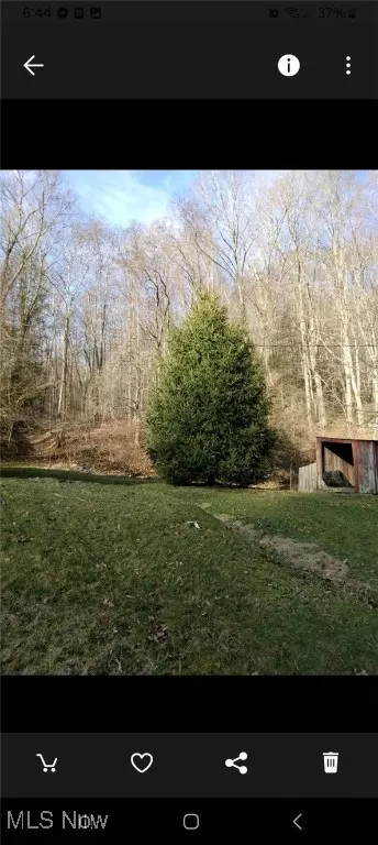 1004 Camp Scott Rd, Sutton, WV 26601 photo 8