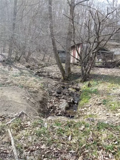 1004 Camp Scott Rd, Sutton, WV 26601 photo 7
