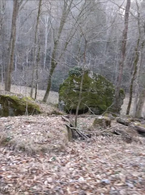 1004 Camp Scott Rd, Sutton, WV 26601 photo 12