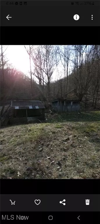 1004 Camp Scott Rd, Sutton, WV 26601 photo 14