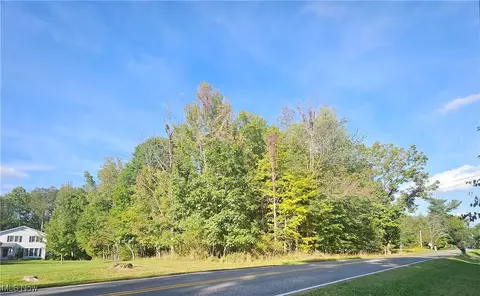 V/l Granger Road, Medina, OH 44256