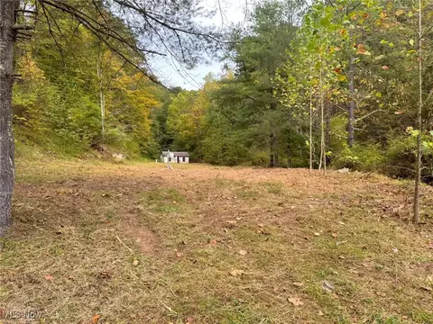 0001 Leading Creek Rd, Brohard, WV 26136