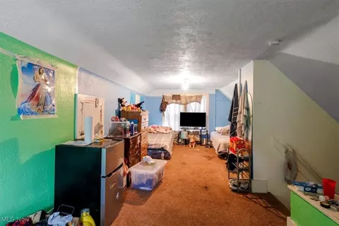 771 Elma St, Akron, OH 44310 photo 17