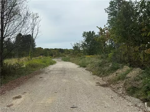 Spieth Road, Medina, OH 44256