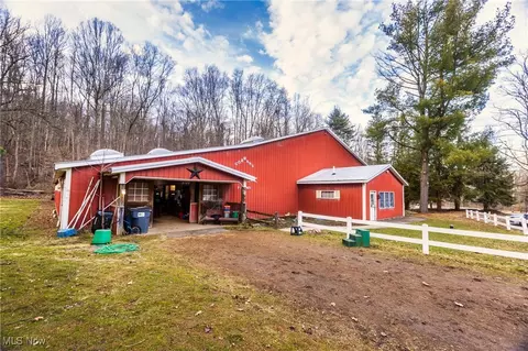 Exterior - 10000 Wisner Rd, Chardon, OH 44024 photo 8 of 8