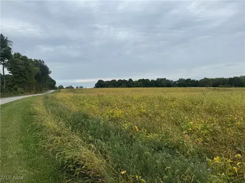 Bair Road, Orrville, OH 44667