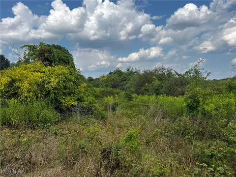 Cates Road, Akron, OH 44312 photo 21