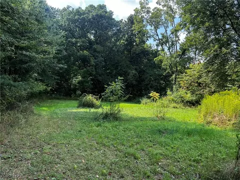 Cates Road, Akron, OH 44312 photo 4