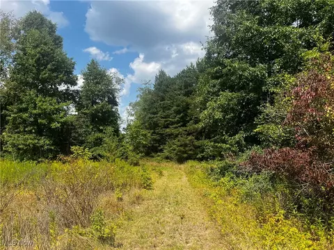 Cates Road, Akron, OH 44312 photo 3